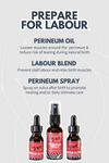 Perineum Oil